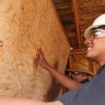 Ezra Bolton and Chris Whiteman hang up a part of the wall.