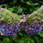 Purple Flowers and Green Pastures, by Maria Fazio (Photo by Marina Blatt)