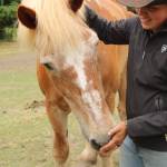 Rhed pets Joel, one of many horses at Big Rhed Barn (Photo by Allyson Ballard)
