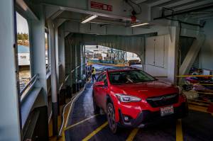 Photo by David Welton