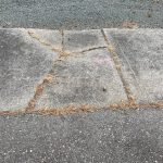 Grass grows in the cracks of a broken sidewalk on Southwest Kirk Lane (Photo by Marina Blatt)