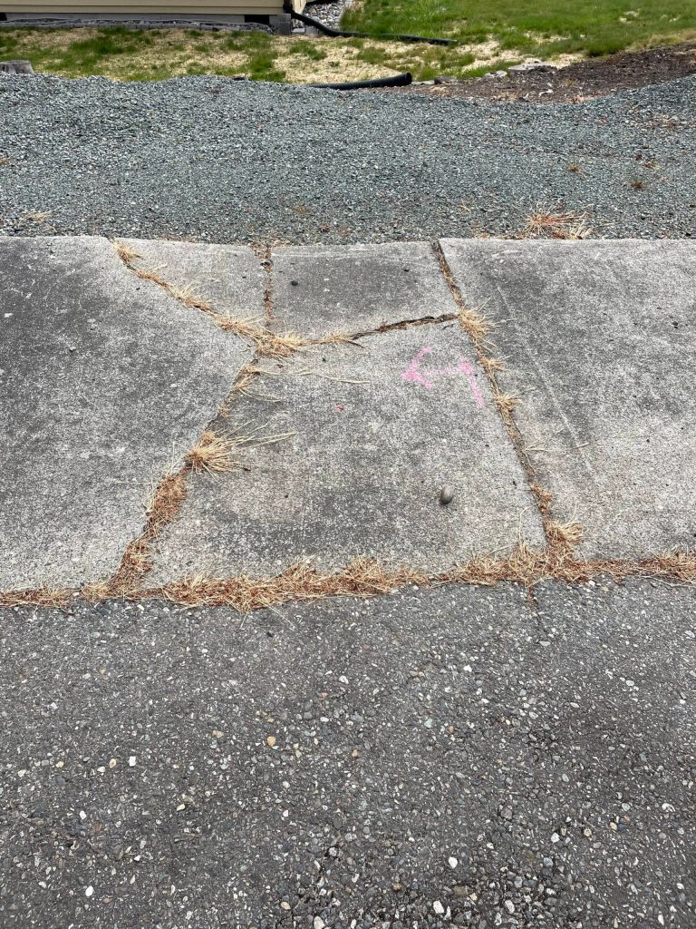 Grass grows in the cracks of a broken sidewalk on Southwest Kirk Lane (Photo by Marina Blatt)