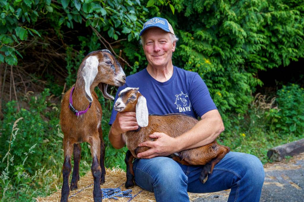 (Photo by David Welton) David Ross with Chamomile and an unnamed buck who may join his pack boys when he grows up.