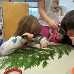 (Photo provided). Mrs. Parkers TTK class engaged in hands-on activities in the classroom.