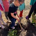 (Photo provided). TTK students worked at the school farm.
