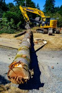 Photo by David Welton