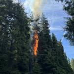 Photo by Central Whidbey Island Fire and Rescue