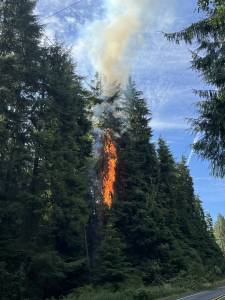 Photo by Central Whidbey Island Fire and Rescue