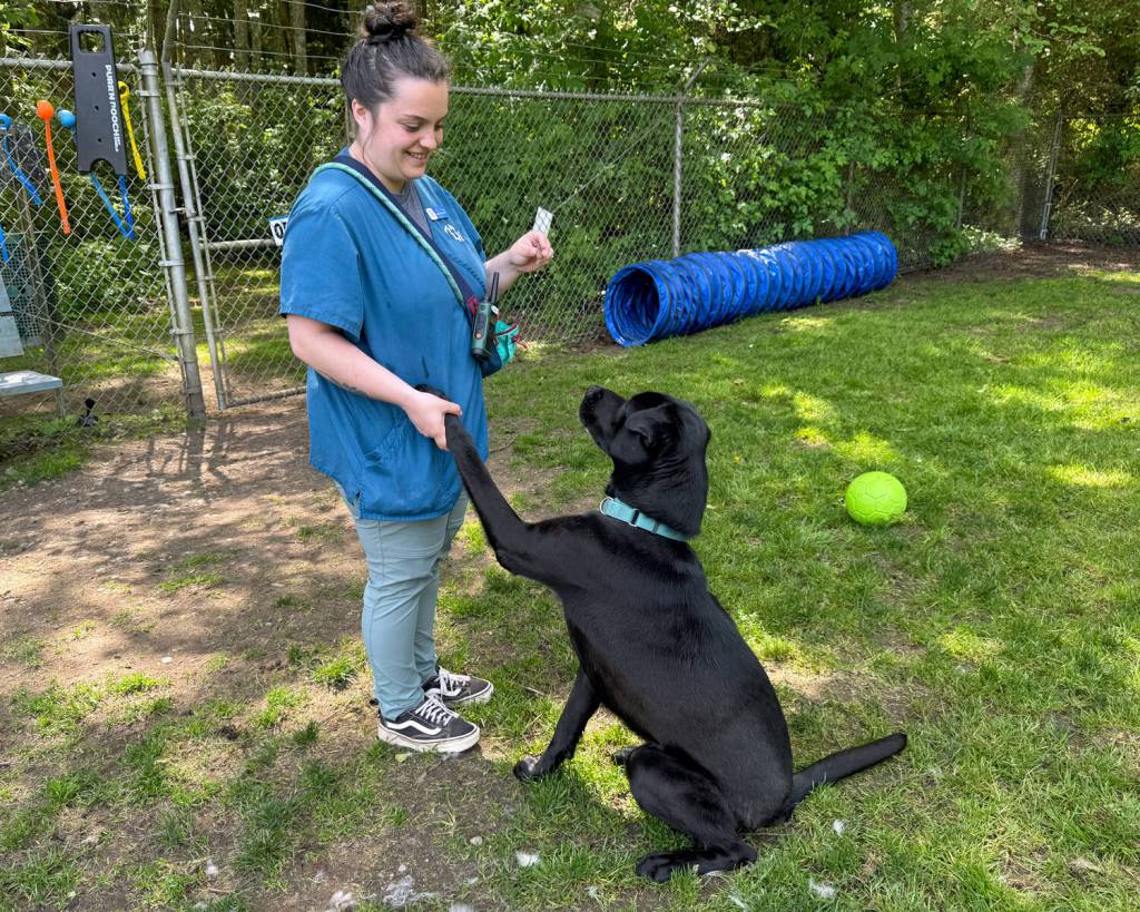 (Photo by Mary Jo Adams) Levi shakes hands with dog trainer Sam Thomson.