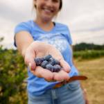 Photo by David Welton
Mutiny Bay Blueberry Farm will host a farm tour as part of Eat Local Month.