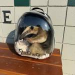 Photo by Payton Wilson