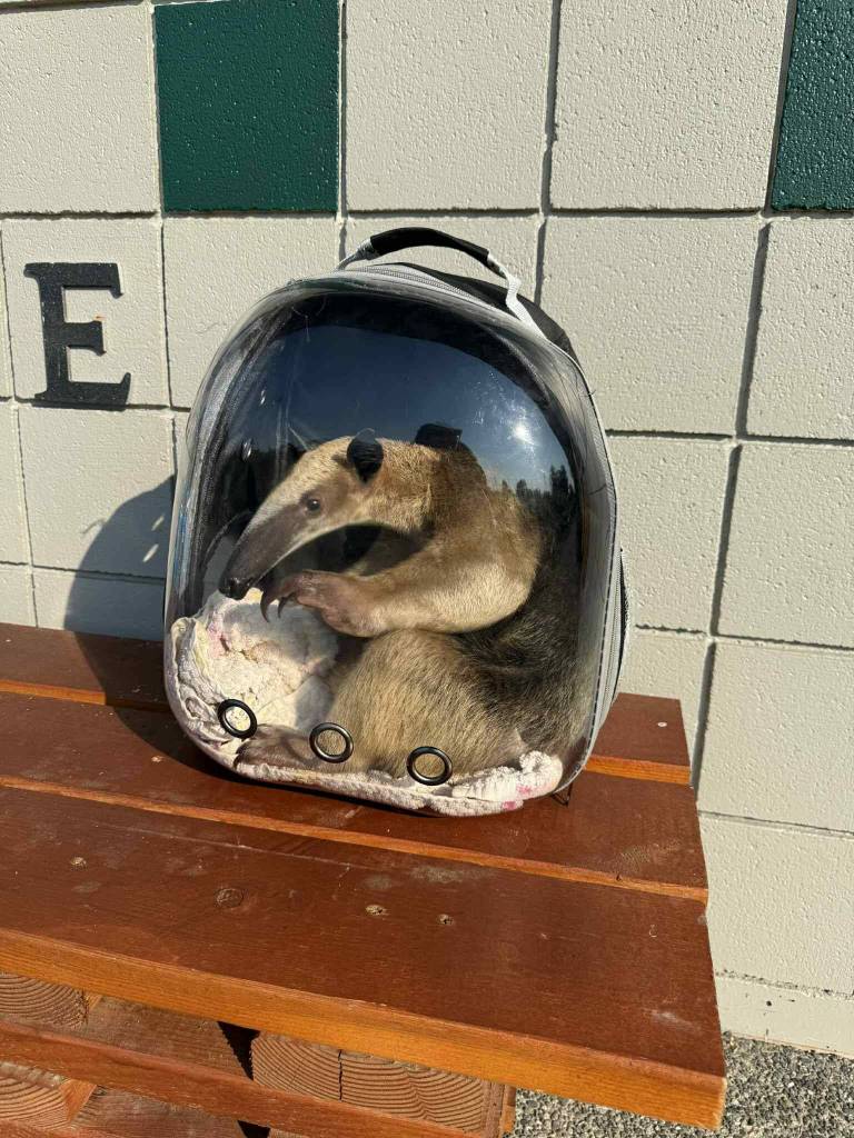 Photo by Payton Wilson