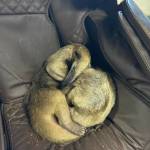 Photo by Payton Wilson