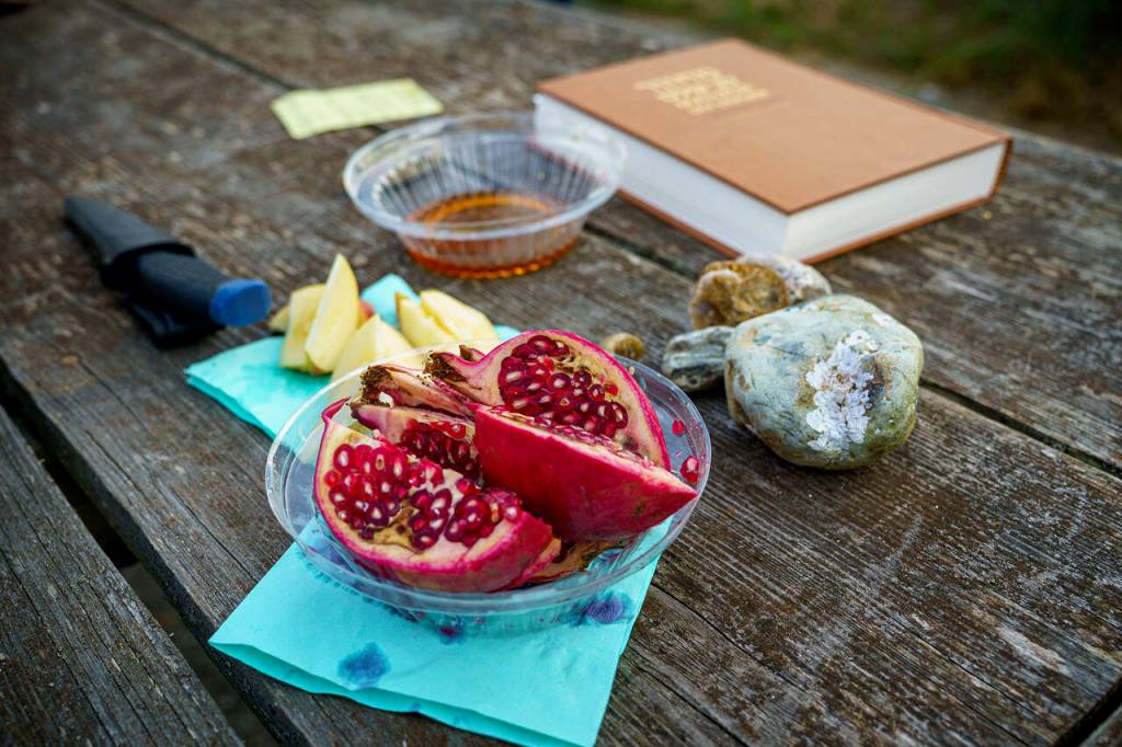 We ended the afternoon schmoozing over customary foods – a pomegranate, so we can be as full of commandments as the pomegranate is full of seeds  round challah and apples dipped in honey, for a sweet new year.