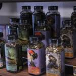 (Photo by Allyson Ballard) Several local vendors also sell goods at Blooms and Bites, like the tea leaves pictured here.