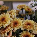 (Photo by Allyson Ballard) Blooms and Bites boasts just that  an eye-catching display of fresh, locally grown flowers and an assortment of tasty snacks.