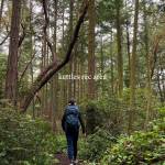 Photo from @explorewhdibeyisland on Instagram