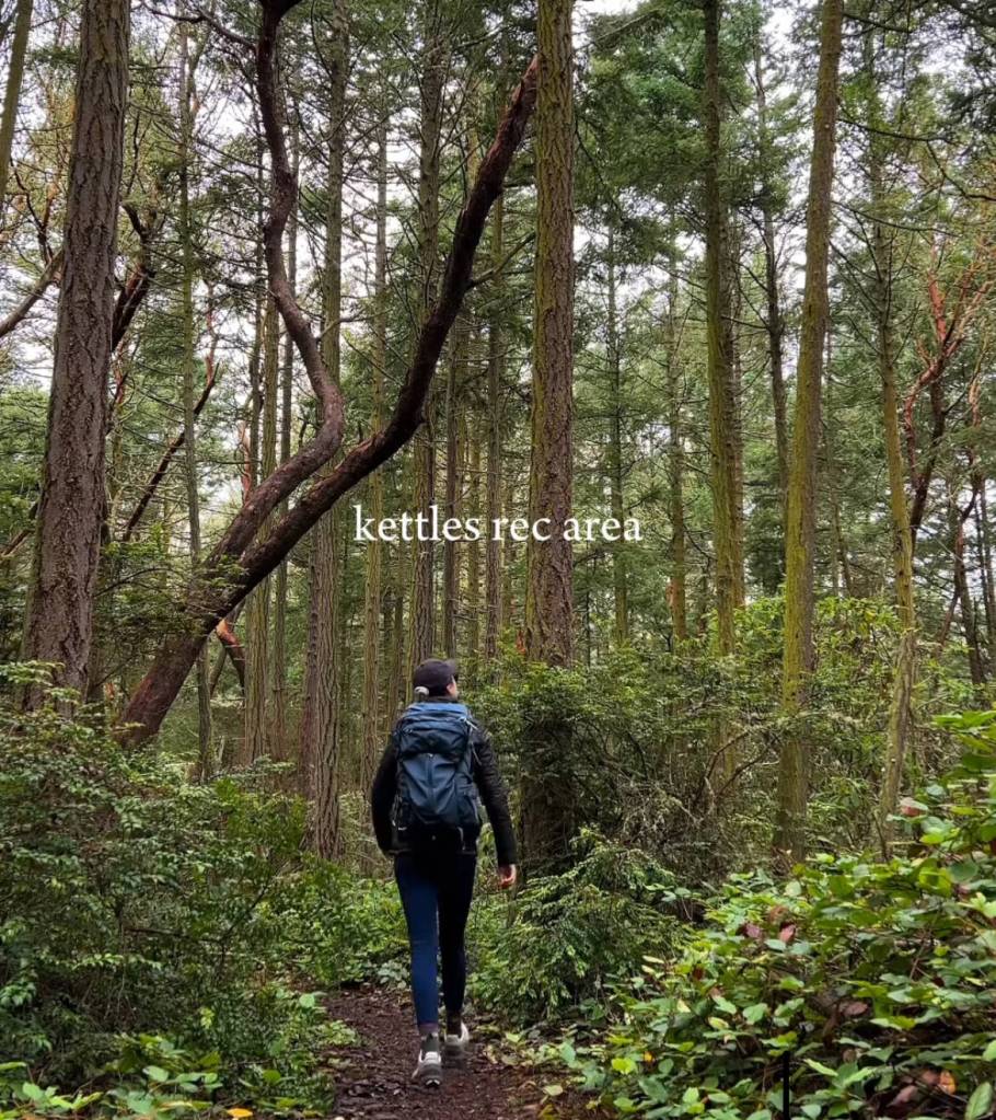 Photo from @explorewhdibeyisland on Instagram