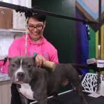 Photo by Allyson Ballard