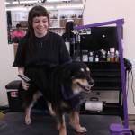 Photo by Allyson Ballard
Moving into a physical storefront allowed owner Mary Edwards to expand her staff  she had run the Paww Spa mobile unit solo.