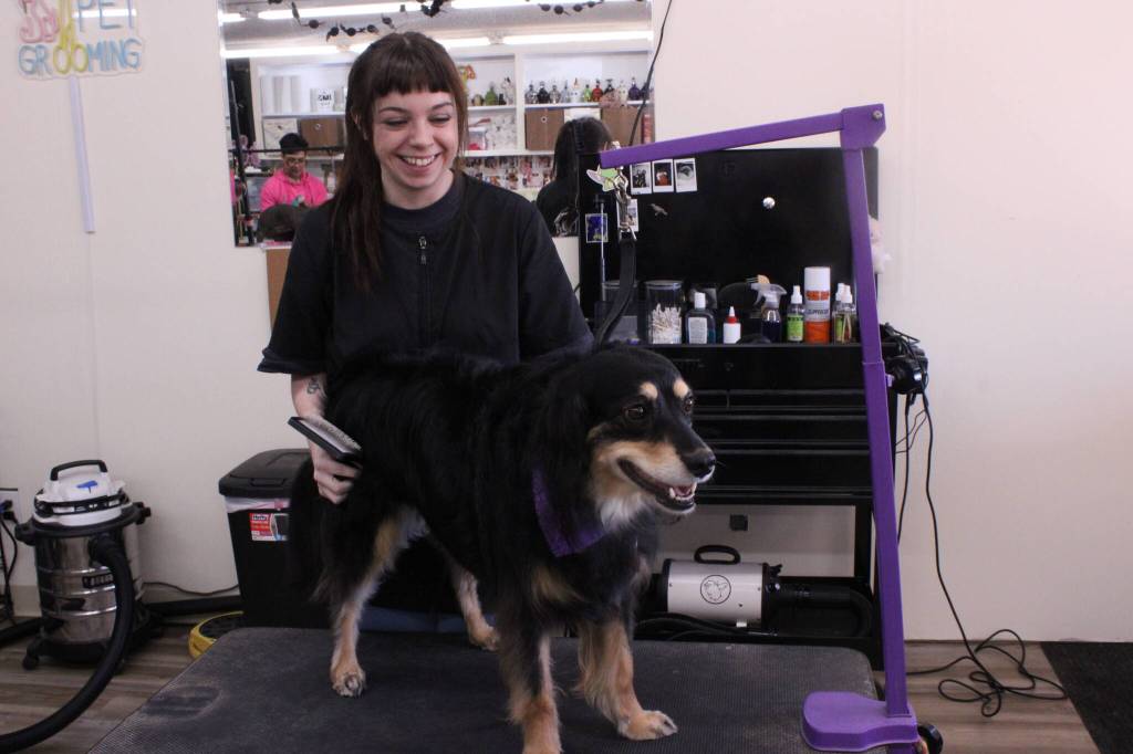 Photo by Allyson Ballard
Moving into a physical storefront allowed owner Mary Edwards to expand her staff  she had run the Paww Spa mobile unit solo.
