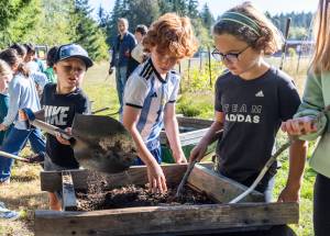 Hayden Cammermeyer dumps compost onto a wire frame for Winston Harper and Murphy Boland to sift the compost during class at South Whidbey Elementary School on Sept. 22, 2025 in Langley, Washington. (Olivia Vanni / The Herald)