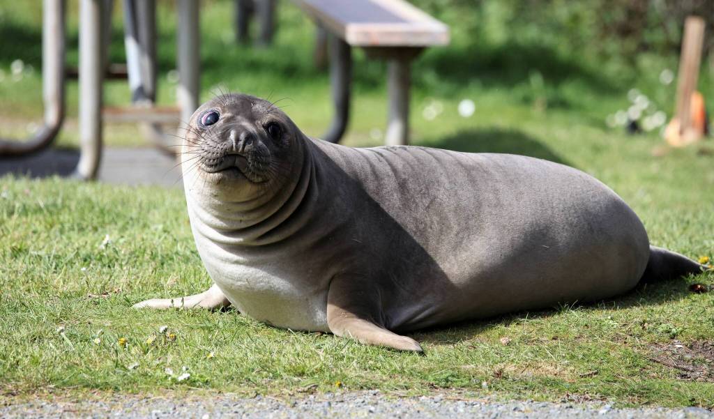 Photo provided by Garry Heinrich