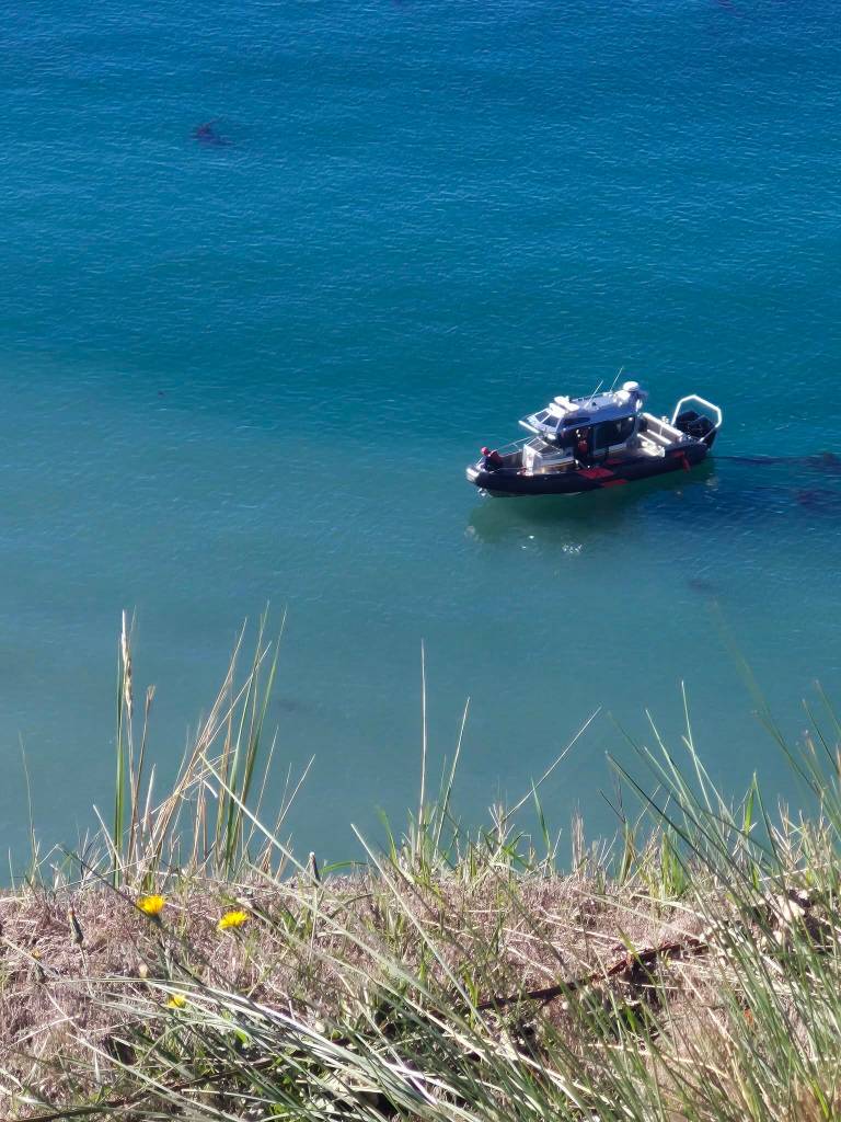 (Photo provided) A boat from Central Whidbey Island Fire and Rescue was called to the scene in case rescuers needed to lower the dog to the water.