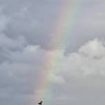 (Photo by Nichol Redfearin) A kiteboarder lines up perfectly with a rainbow in the sky over Swan Lake.