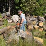 Photo by Sandra Johnson