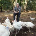 Photo by Marina Blatt. Thomas Boettger has raised broad-breasted turkeys since he started his farm, which he said is more of a hobby at the moment.