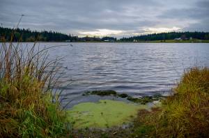 Photo by David Welton