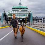 (Photo by David Welton) Cole exits the ferry with his four-legged crew.