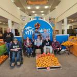 Store employees, volunteers and interns at the Habitat for Humanity of Island Countys Oak Harbor store. Photo courtesy Habitat for Humanity of Island County