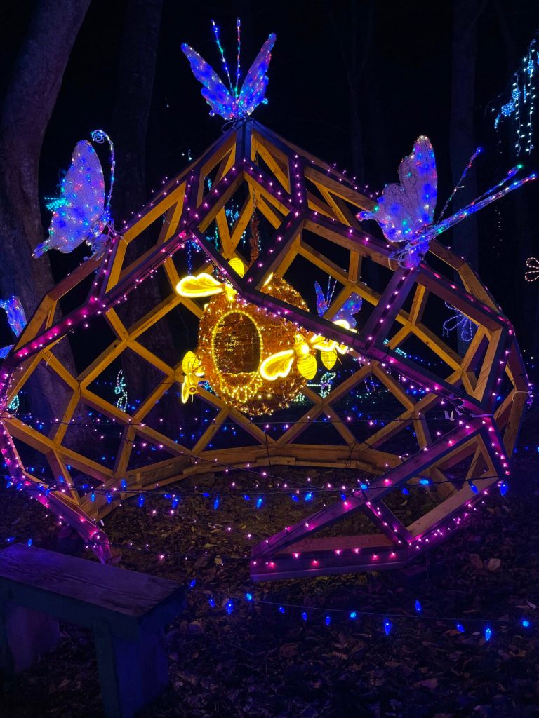 (Photo by Marina Blatt) The beehive, that showcases animated bee wings, is a new addition to this years light display at the Hastie Lake Christmas House.