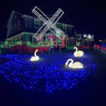 Photo by Marina Blatt