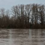 Photo by the Mount Vernon Police Department
The Mount Vernon Police Department issued a warning on its Facebook Wednesday, warning residents to avoid flooded roadways and practice "turn around, don't drown".