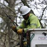 Photo provided by Puget Sound Energy. Winds from Wednesday morning around midnight, through Thursday morning had a far-reaching effect, particularly severe on the South end of the island.