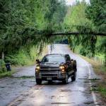 Photo by David Welton