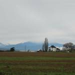 Photo by Marina Blatt