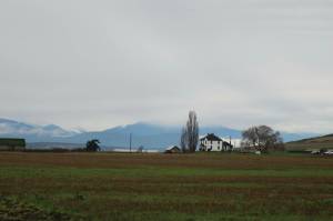 Photo by Marina Blatt