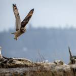 Photo by Andrew Tokar