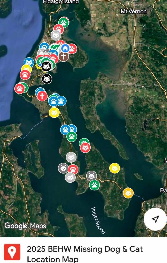 The Facebook group, Bring Em Home Whidbey, has a lost and found data map system for cats and dogs.