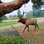 Photo by Samuel Jennings