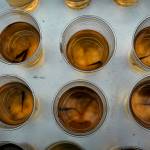 Photo by David Welton