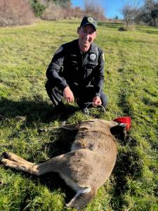 (Photo provided by Ralph Downes) Brandon Reed, a deputy with the Coupeville Marshals Office, assisted with the rescue.