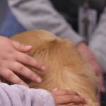 Photo by Marina Blatt