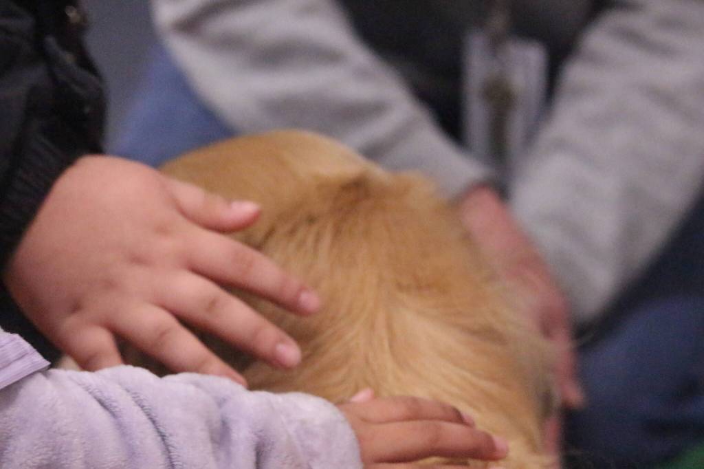 Photo by Marina Blatt