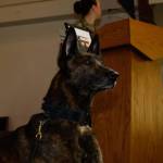 Official Navy photo by GM1 Joseph Martinez. Freddy is eight years old and worked with the Navy for the last six years.