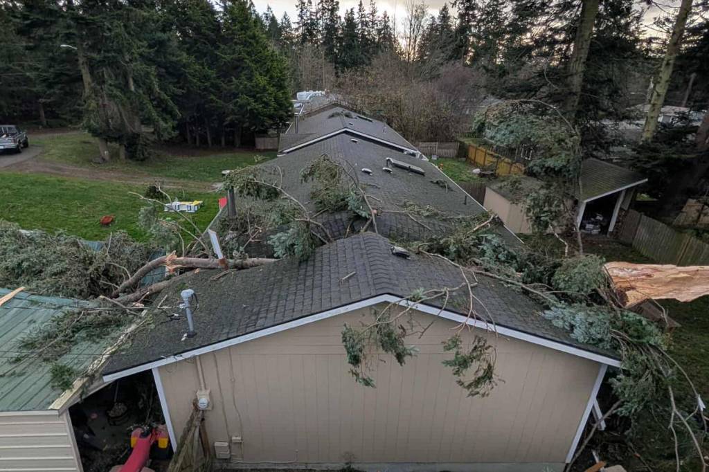 (Photo provided by Alyssa Moncada) A portion of the upper half of a large evergreen tree fell into the Moncada familys garage during windstorms on Dec. 17.